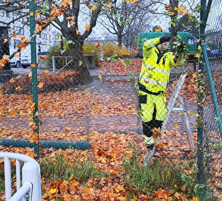 Montering av stängsel