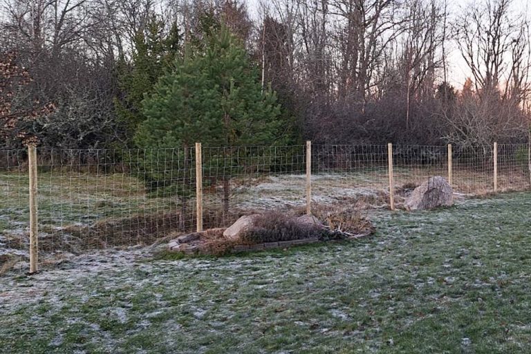 Skydd av trädgårdar och villatomter