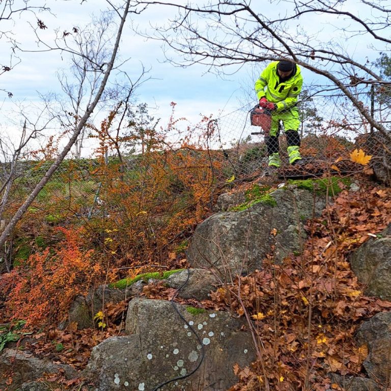 Montera viltstängsel